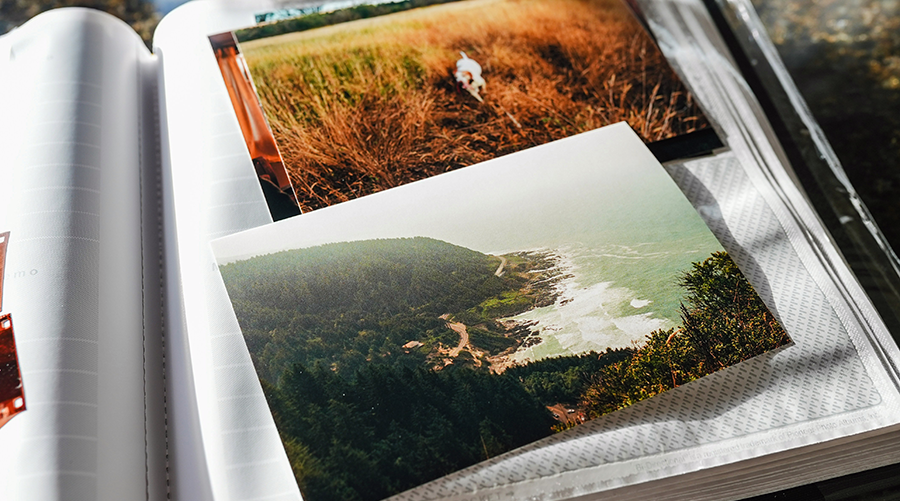 Two color photographs, one of a dog in a field and the other of a cliff by the sea
