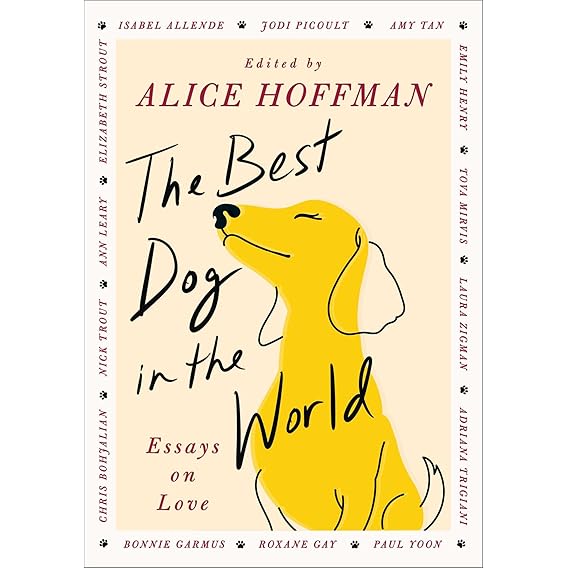 Best Dog in the World by Alice Hoffman