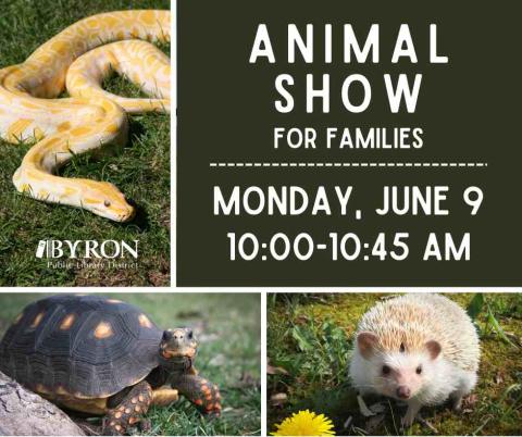 Photo of a snake, turtle & hedgehog with show times.