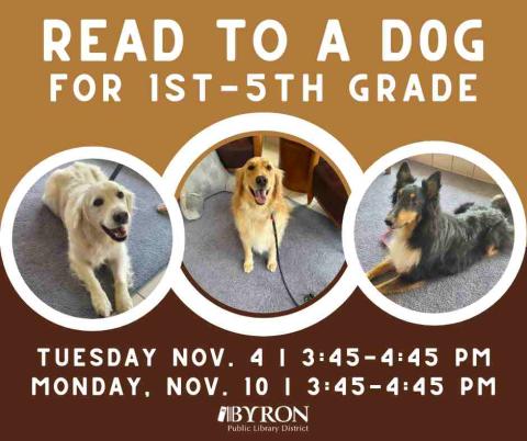 Photos of dogs with program dates.