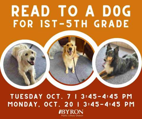 Photo of dog with dates