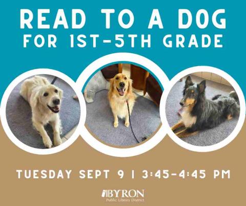 Photos of dogs with program dates.