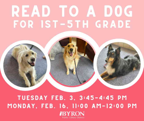 Photo of dogs with program date and time.