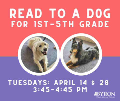 Photos of dogs with event dates.