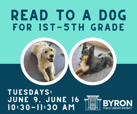 Photos of dogs with event dates.