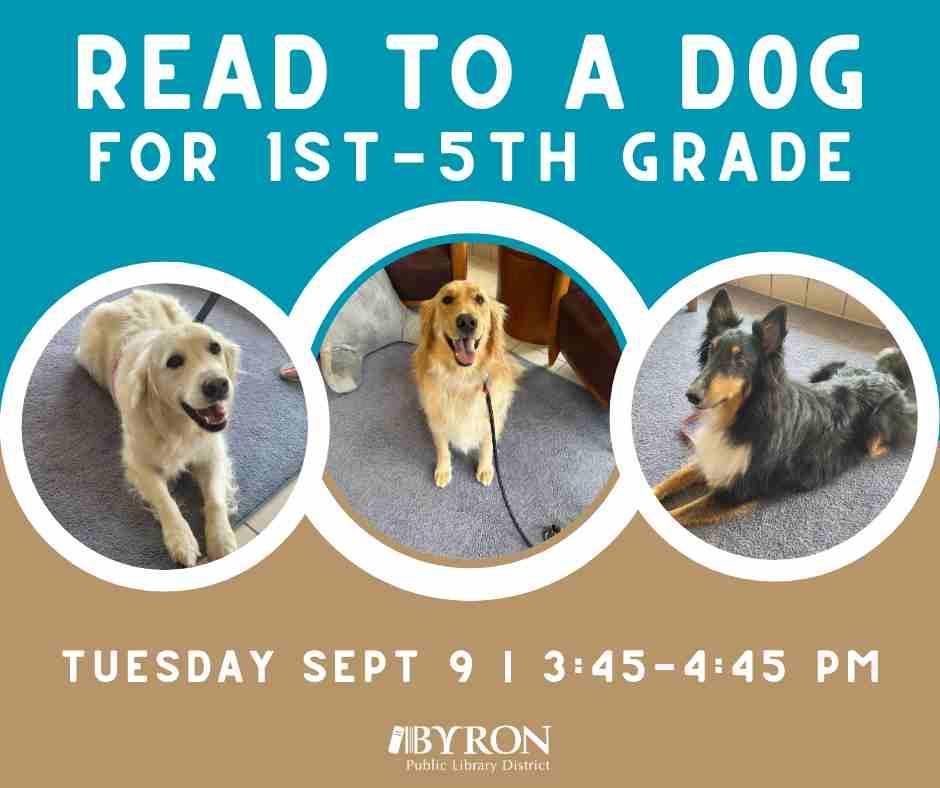 Photos of dogs with program dates.