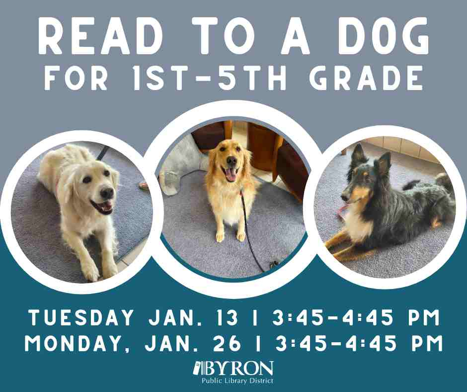 Photo of dogs with program dates.