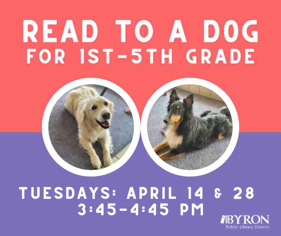 Photos of dogs with event dates.