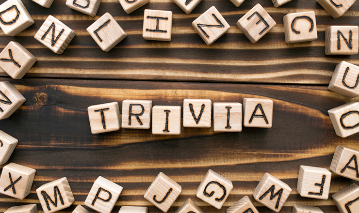 Wooden blocks that spell out "Trivia"